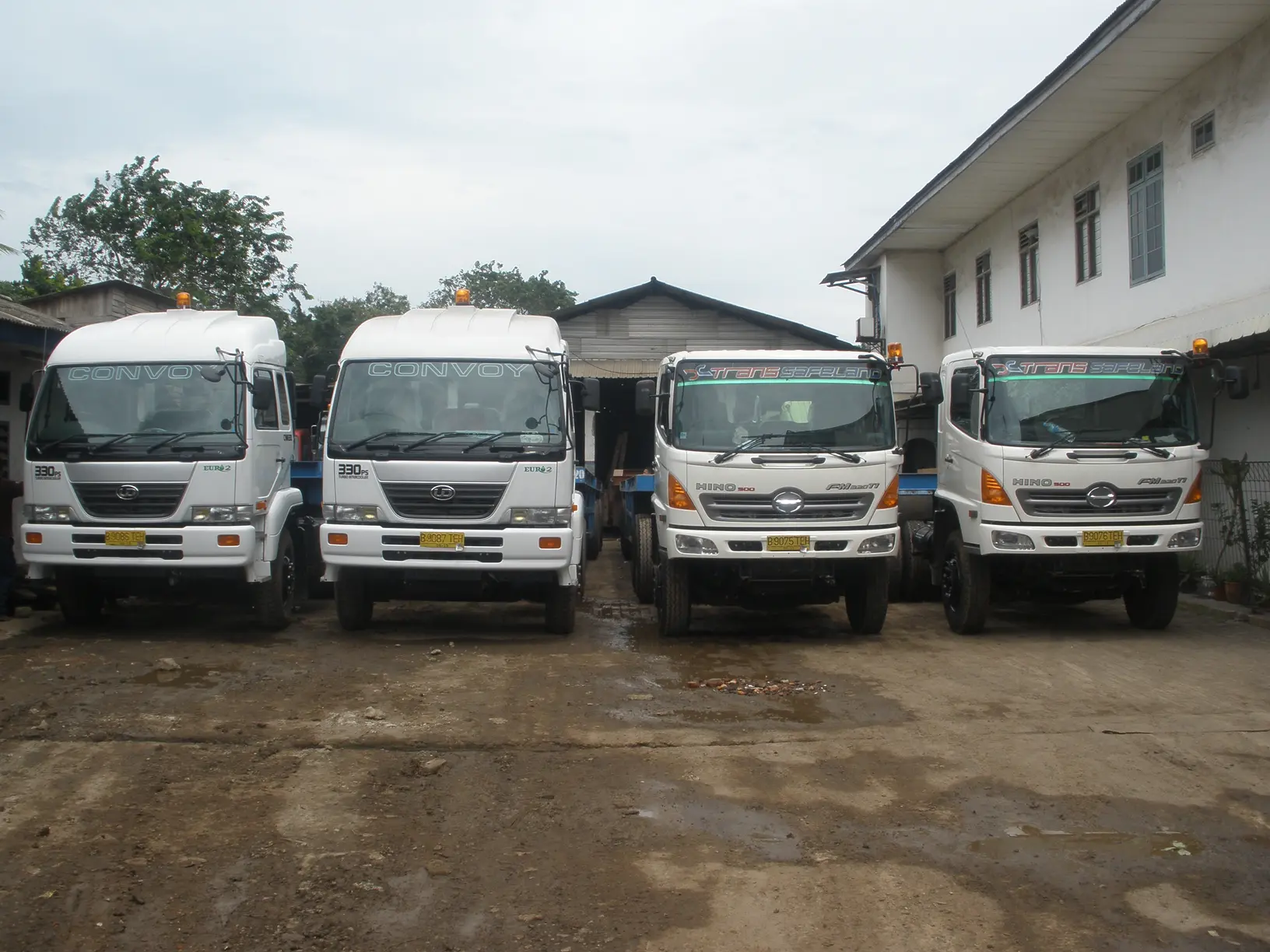 Export & Import Background